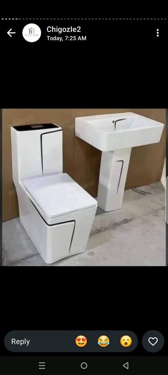 Designer Swoosh Accent Ceramic Water Closet & Pedestal Sink Set